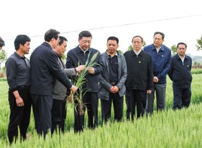 習近平在安徽考察 觀看中科大智能機器人