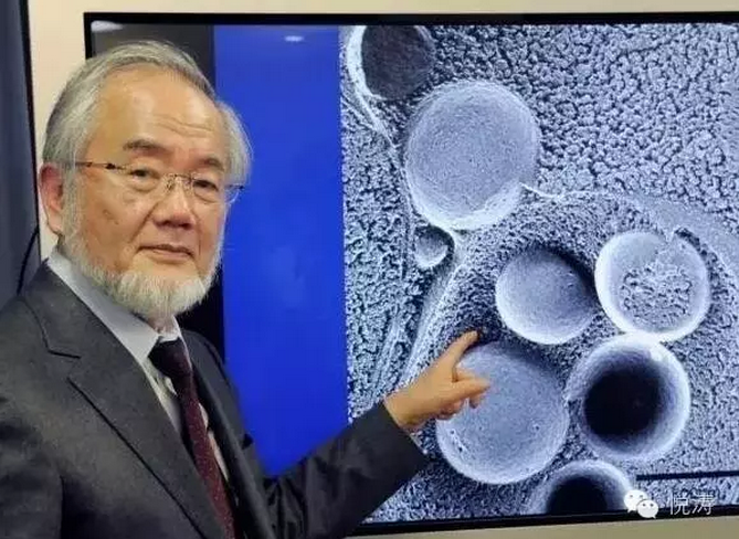 我們瘋狂地搶房子，他們在瘋狂布局未來！機器人赫然在列！
