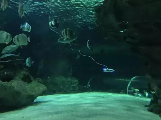 水下拍攝機器人來了，可水下拍照、攝影、尋魚、放釣鉤