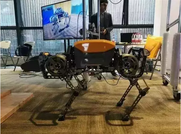 浙大“赤兔”機器人：不僅能小跑 還會爬樓梯