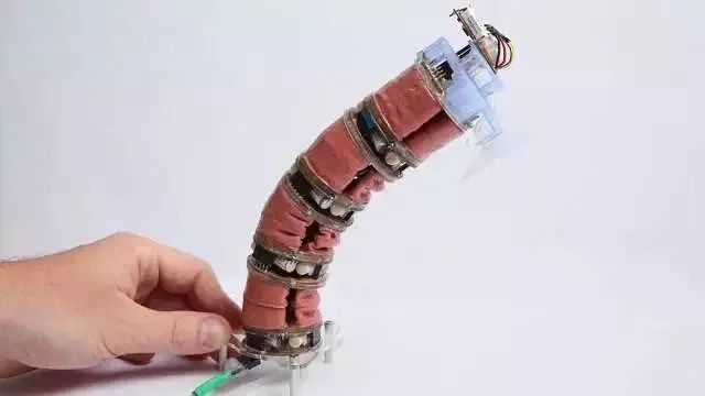 一種完全由真空驅動的軟殼機器人