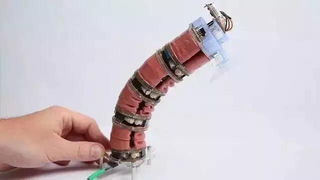 一種完全由真空驅動的軟殼機器人