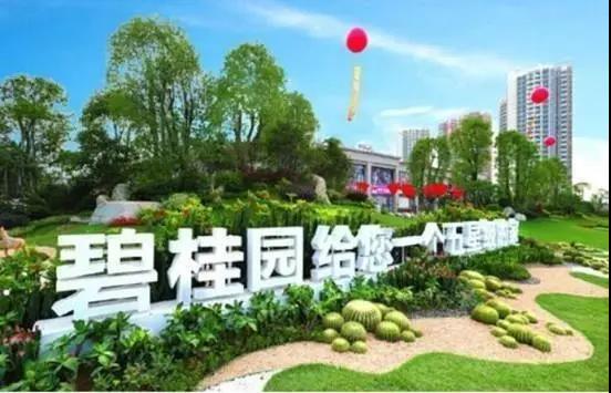 碧桂園的機器人王國之夢
