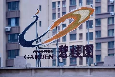 碧桂園高層人事大變動 發力機器人、現代農業業務